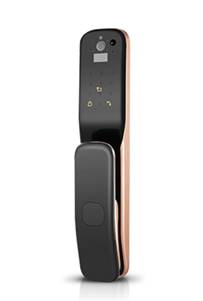 Dual Biometric Induction Alarm Automatic Face Recognition Door Locks