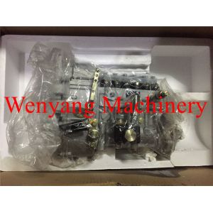 China Fuel Injection Pump Wheel Loader Engine Parts Weichai WD10G 612601080591 on sale