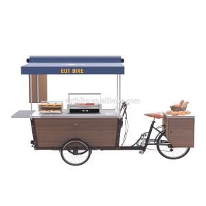 Quality SS304 48V Spray Paint Box Structure Bike Food Cart for sale