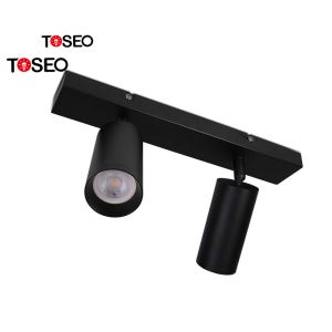 IP20 Surface Mounted Adjustable Downlight Commercial Double Head Spotlight