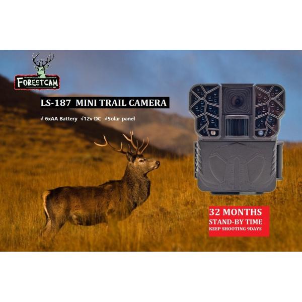 Waterproof Infrared Time Lapse Trail Camera Outdoor For Deer Monitoring