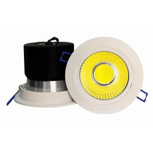 30W COB LED Downlight