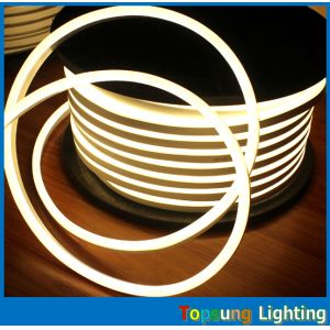 China 10*18mm UV resistance 82'(25m) spool holiday decoration ultra-slim Christmas led light on sale