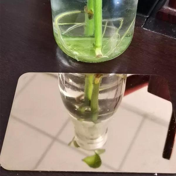 Gold Mirror 316 Stainless Steel Plate Astm 4 X 8FT 3mm 5mm Thick For Construction