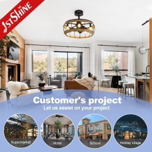 19 Inches Farmhouse Caged Bladeless Ceiling Fan With Light