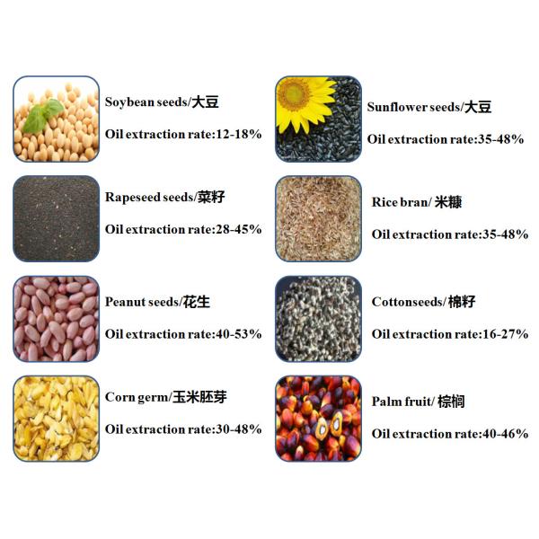 Spiral Sunflower Seed Cold Oil Presser Soybean & Peanut Oil Press Machine for Cooking Oil Making