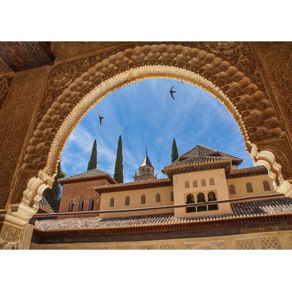 International Ocean Freight Forwarder China To Europe