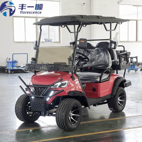 High Power Electric Golf Cart 2+2 4seats 48V Battery 5KW Motor for Golf Course and Resort