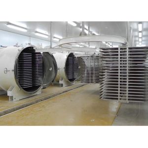 1000Kg Large Vacuum Degree Freeze Dryer With Electric Heating