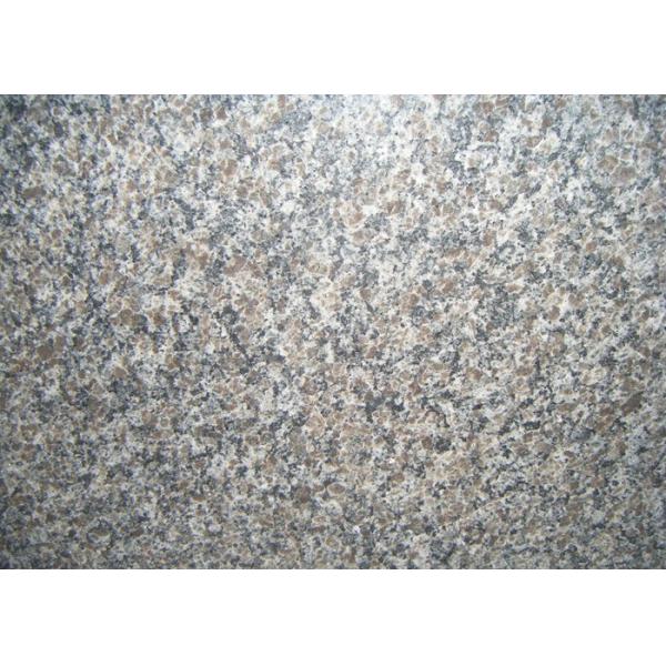 Buy Canada Caledonia Granite Countertop Slabs , Grey Polished Granite Slabs at wholesale prices