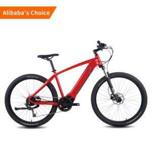 Quality Rothar Electric City Bike 36v Battery Bicycle 27.5 Inch for sale