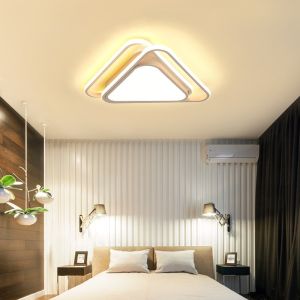 Cool ceiling light fixtures for Indoor Bedroom Kitchen Living room home Lighting