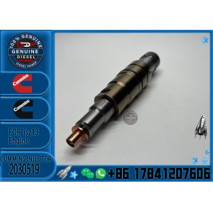 NINE Brand Fuel Injector 2030519 Diesel Injector 2030519
