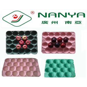 Degradable Rectangular Paper Pulp Moulded Products Fruit Tray with 20 Cavities