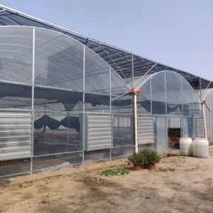 Hot Dip Galvanized Steel Wind Resistance Sides Ventilation Multi Span Greenhouse