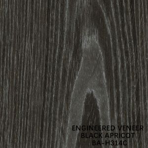Furniture Black Apricot Engineered Wood Veneer H314C Flat Cut Crown Grain 2500
