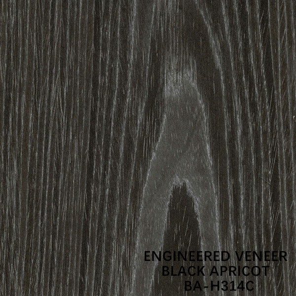 Furniture Black Apricot Engineered Wood Veneer H314C Flat Cut Crown Grain 2500