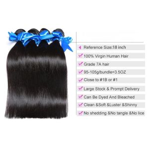 Virgin Malaysian Straight Hair Bundles Tangle Free Human Hair Extensions