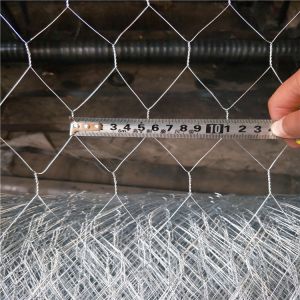 Electro Gavanized Before Weaving Hexagonal Wire Netting