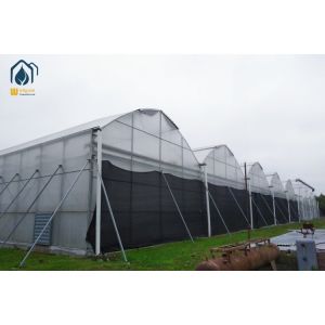 Large Scale Hydroponics Multi Span Greenhouse For Modern Farmers