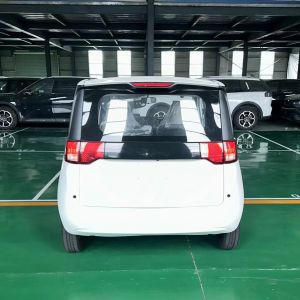 Made in BLAVAL High Speed Adult Electric Car RHD Chinese Electric Car 2024