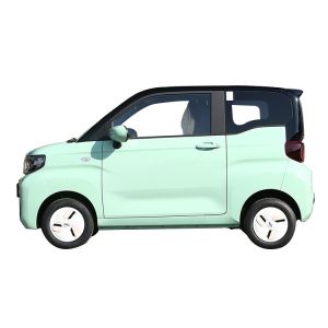 Super Cute QQ Ice Cream Mini Car Made in for B2B Resale 120km Pure Electric