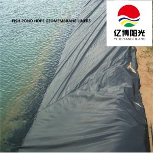 Waterproof Liners Chinese Direct Supply HDPE Geomembrane for Aquaculture