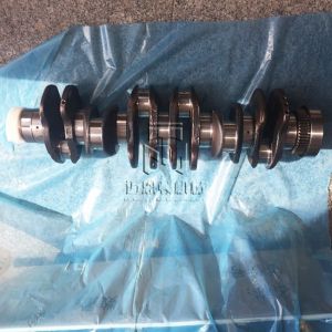 Crankshaft 04292806 04502707 04502637 4292806 4502707 4502637 0429 2806 0450