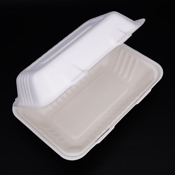 Disposable Biodegradable Sugarcane Bagasse Dinnerware Sets