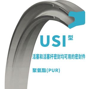 China USI Piston And Piston Rod Seal on sale