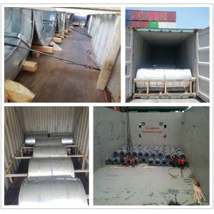 CE Certified PPGI/PPGL Coil Color Coated Galvanized Steel Coil Dx51d Z275 Pre