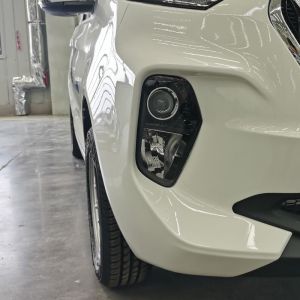 China Factory price electric vehicles car China supplier hot sales mini electric car adult on sale