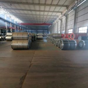Prepainted Galvanized PPGI PPGI Steel Coil 0.12mm Thickness