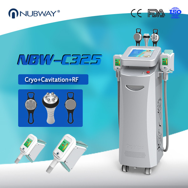 Buy CE / Approuvé par la FDA -15 graisse oC gel dispositifs de beauté cryolipolysis minceur avec totalement 5 poignées at wholesale prices