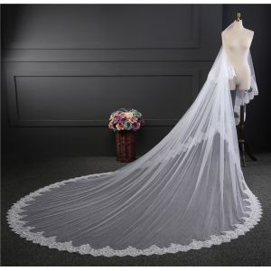 Quality Unique Customized 3.5m*3m Wholesale Long Cathedral Appliqued Lace Two Layers Tulle Bridal Wedding White Veil With Hair C for sale