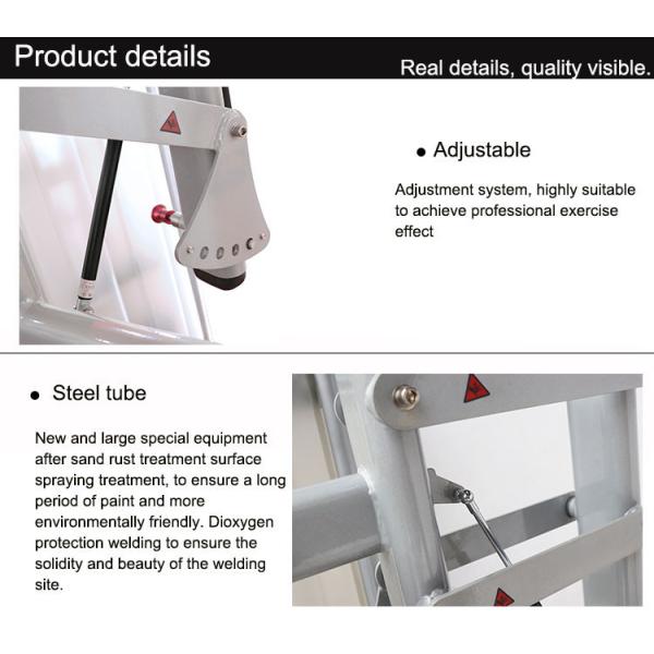 Gym Use Matrix Strength Training Equipment Commercial Bodybuilding Rotary Torso