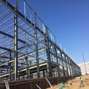 Large Span Pre Engineered Steel Warehouse Prefabricated Steel Structure Cold