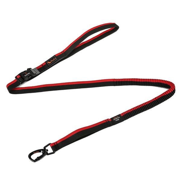 dog leash waist belt