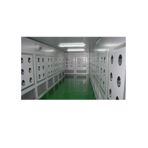 Customized Clean Room Modular Air Shower Tunnel With Blower Internal