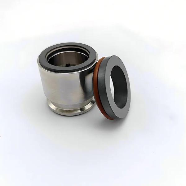 AES M010 S1 SHJ97 Vulcan 1663 ROTEN EHS3 Mechanical Seal for Higle Hygiana