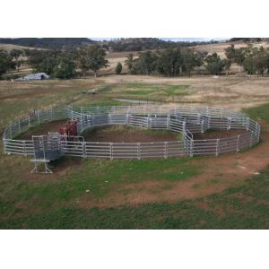 Galvanized Pipe Fence 1.8x2.1m Welded Wire Horse Panels