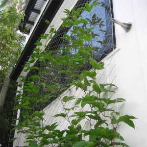 Quality Eco Green Wall 1.2mm Stainless Steel Wire Rope Mesh For Green Facade for sale