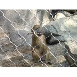 stainless steel wire rope mesh for zoo