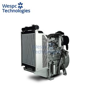WESPC Perkins Diesel Generator With Engine 1103A-33TG1 Electric Generator