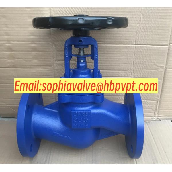 GS-C25 PN16/PN40 cast steel bellows globe valve