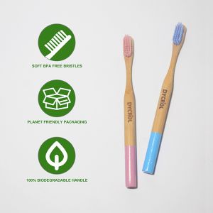 Eco Friendly BPA Free Biodegradable Bamboo Toothbrush With Soft Bristles