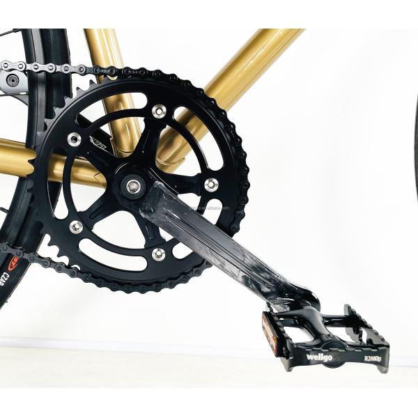 OEM Color 700C Lugged Frame Fixie Gear Bicycle with Aluminium Parts and Steel Frame