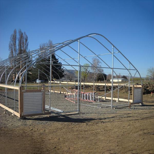 Plants Growing System Greenhouse Steel Pipe Structure Hoop Tunnel Plastic Greenhouse