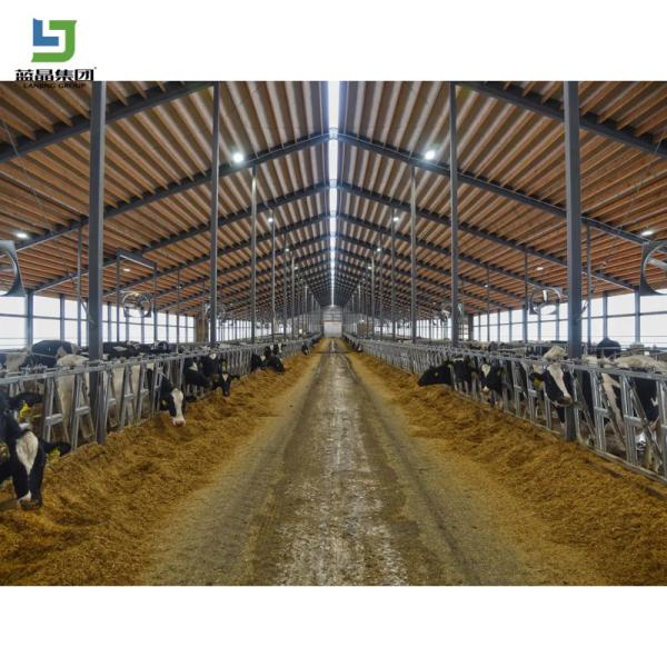 Buy Low Cost Prefab Light Galvanized Fast Assembling Steel Structure Construction Livestock Farm  Cow Cattle Chicken Automatic Free Range at wholesale prices