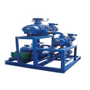 3 Phase 380V Sk 2sk 2be Liquid Ring Vacuum Pump